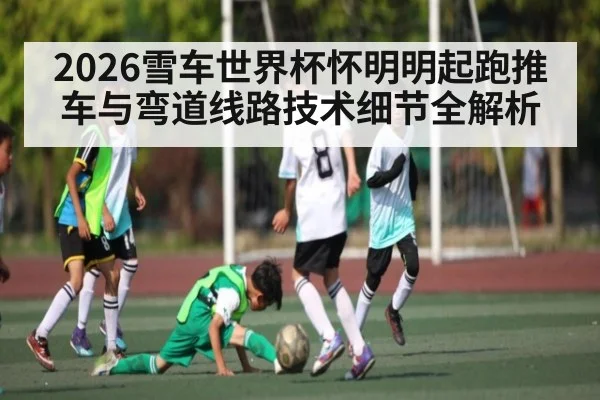 2026雪车世界杯怀明明起跑推车与弯道线路技术细节全解析